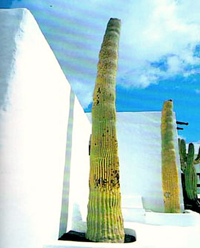 Lanzarote: Los Jameos del Agua: bar