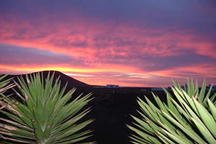 Casa Dominique - Four à gofio sur lapillis rouges
