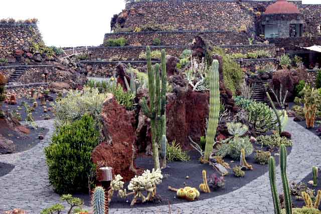 Lanzarote: Jardín de Cactus: la Piconera