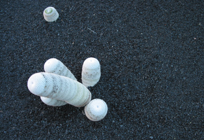 Casa Dominique: Sala Panoramica e Risco di Famara