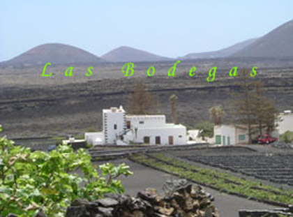 Metodo classico di coltivazione dell'uva sull'isola di Lanzarote